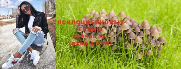 гидра Балахна