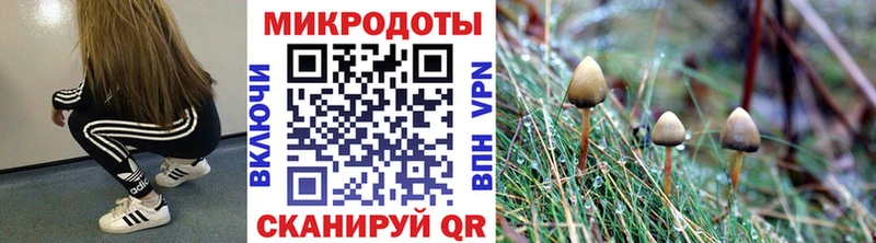 Псилоцибиновые грибы Magic Shrooms  Ивдель 