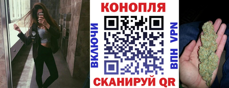 купить наркотики цена  Ивдель  Канабис SATIVA & INDICA 